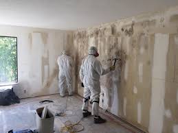 Best Residential Mold Inspection & Testing  in South Laurel, MD